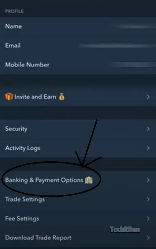 WazirX Banking & Payment Options