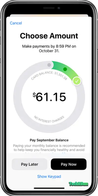 Apple Card Monthly Balance Payment Interest Fee Calculator