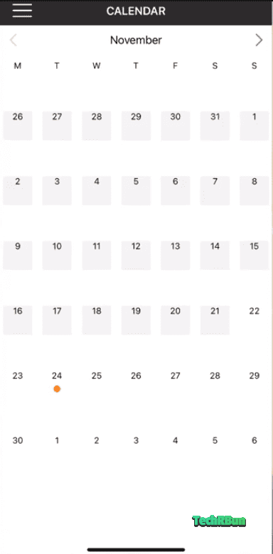 Amazon Flex App - Calendar View